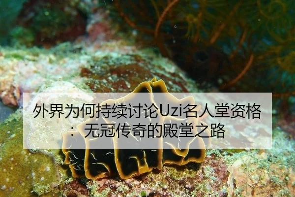 外界为何持续讨论Uzi名人堂资格：无冠传奇的殿堂之路